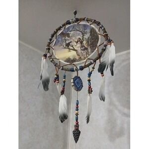 Bradford Exchange Mystic Dreams Dream Catcher Russ Docken Native Art Rare